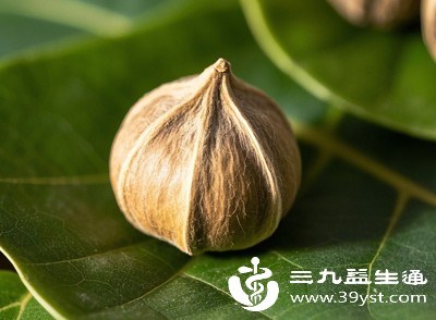 少数人对辣木籽存在过敏倾向,症状轻时表现为皮肤瘙痒、起红色丘疹,多出现于手部、面部等接触部位 少数人对辣木籽存在过敏倾向,症状轻时表现为皮肤瘙痒、起红色丘疹,多出现于手部、面部等接触部位