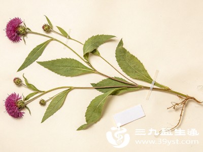 日常食用建议每次用量控制在50-100克,每周2-3次即可,过量食用可能因寒性刺激肠胃,引发腹胀、腹泻等不适,尤其肠胃功能较弱的人群更需注意 日常食用建议每次用量控制在50-100克,每周2-3次即可,过量食用可能因寒性刺激肠胃,引发腹胀、腹泻等不适,尤其肠胃功能较弱的人群更需注意
