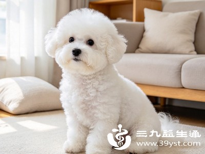有些小狗表面看起来活泼健康，但可能处于狂犬病潜伏期，此时它们的唾液中可能已携带病毒，只是未表现出异常症状