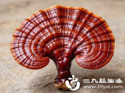 养生圈大火的赤灵芝 除了安神还有这些作用 建议细看