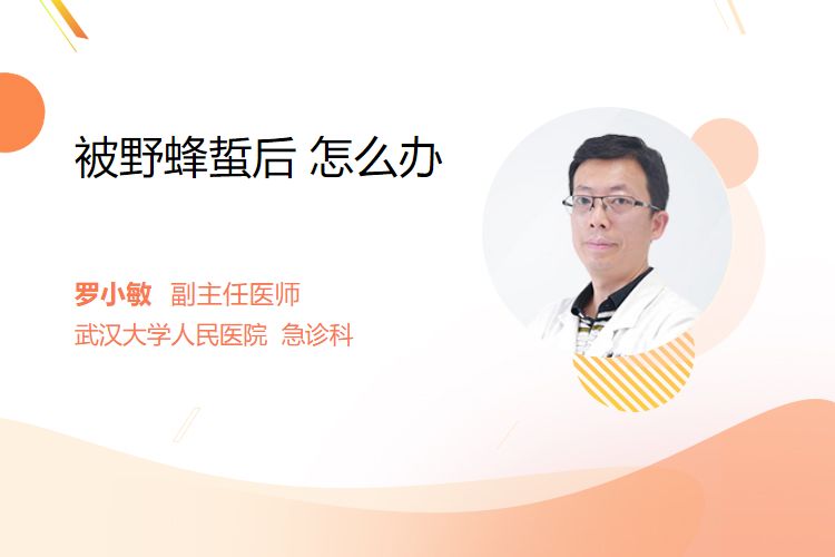 被野蜂蜇后 怎么办？