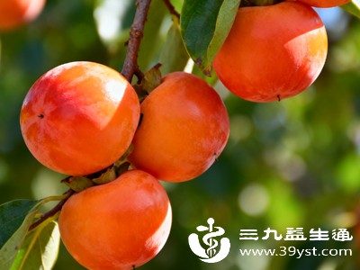 吃柿子:霜降前后柿子成熟,民间有“霜降吃柿,事事如意”“霜降吃丁柿,不会流鼻涕”的说法 吃柿子:霜降前后柿子成熟,民间有“霜降吃柿,事事如意”“霜降吃丁柿,不会流鼻涕”的说法