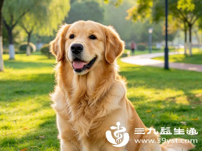被狗咬了等十天再看 “十日观察法”正确打开方式 很多人用错了