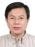 何新華