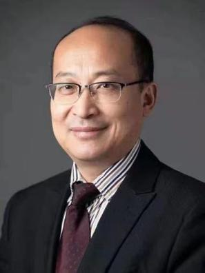 朱金水