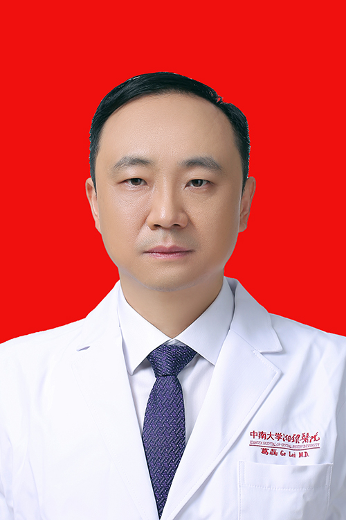 葛 磊