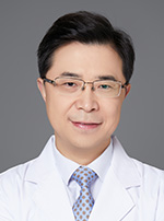 陶磊