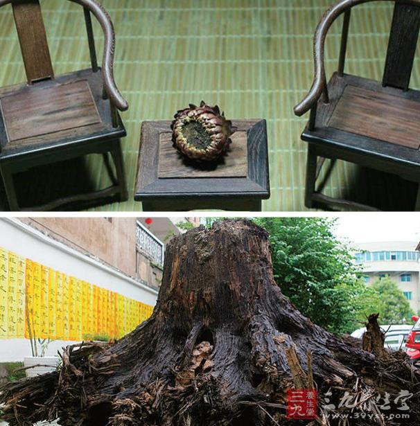 乌木的作用 乌木的欣赏价值有哪些