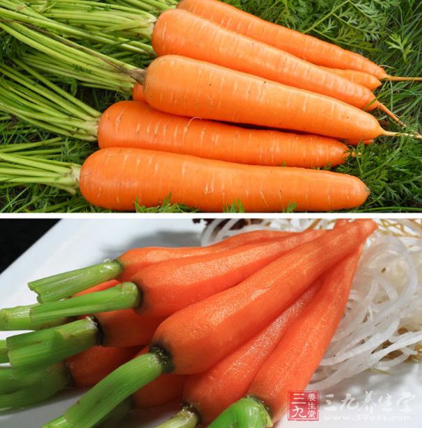 胡萝卜的营养价值 胡萝卜有哪些功效