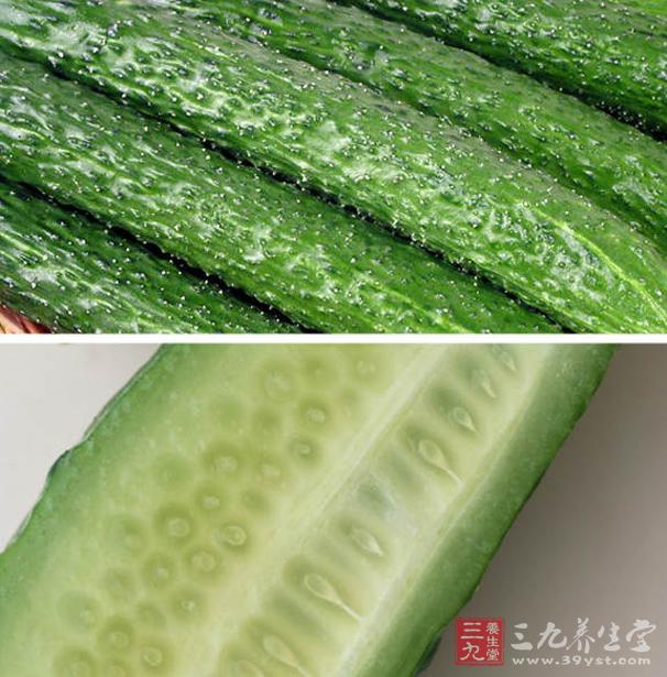 黄瓜的含水量为96%~98%,为蔬菜中含水量最高的