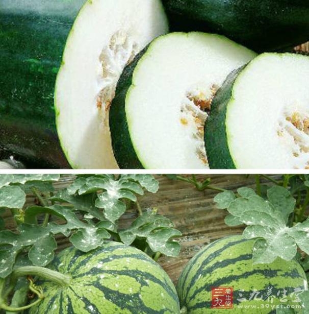 西瓜和冬瓜都有清热解暑的作用,其实用冬瓜的瓤外涂也不错.