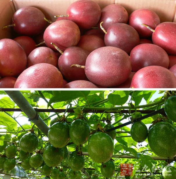 百香果椰汁冰砂 可口的营养冰品