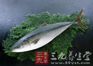 吃什么鱼可以变聪明 13532HR6-0.jpg