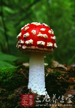 1030064548-2.jpg