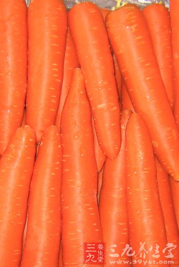 46_110801154116_3.jpg