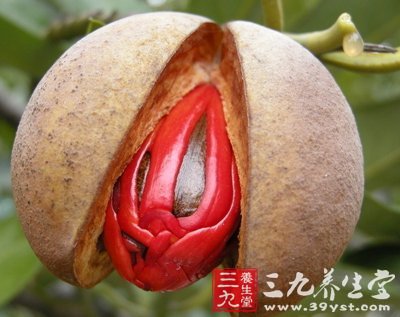 肉豆蔻:别名豆蔻,肉果,玉果,为肉豆蔻科植物肉豆蔻的种仁.