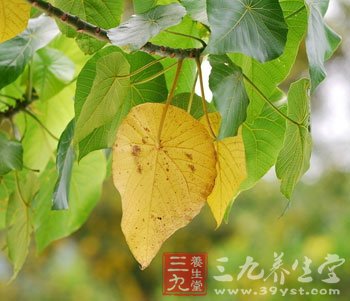 明人《莲生八戕》一书中写有:孟夏之日,天地始交,万物并秀.