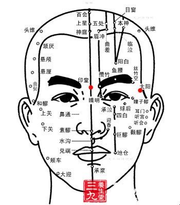 人体头部经络位置图图片