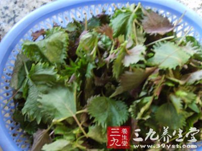 1FP024b-0.jpg