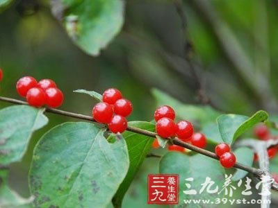 1401542221-1.jpg