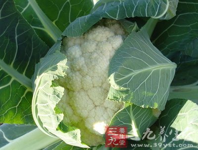花菜的功效与作用 90-13040F93632936.jpg