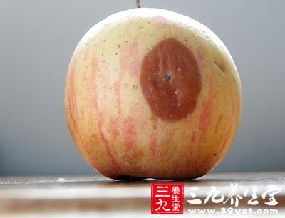 了霉变腐烂,各种微生物特别是各种真菌都会在腐烂水果中不断加快繁殖