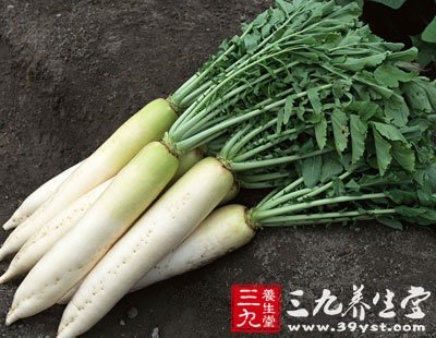 现在可以种白萝卜了吗 1623112927-5.jpg