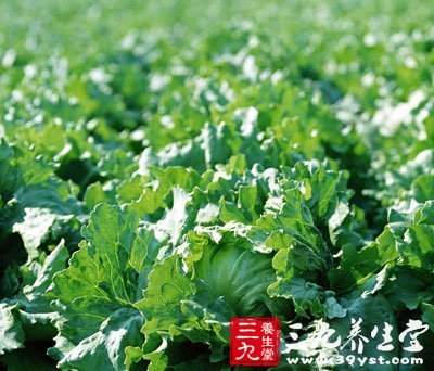 啥叫有机蔬菜 16240K404-0.jpg