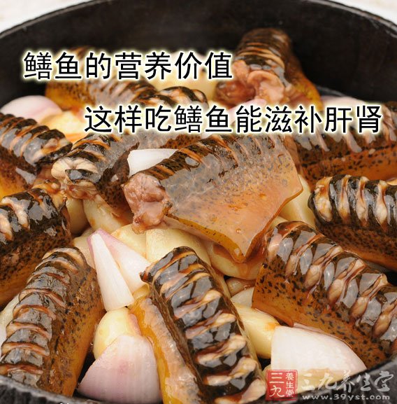 白鳝鱼营养价值图片