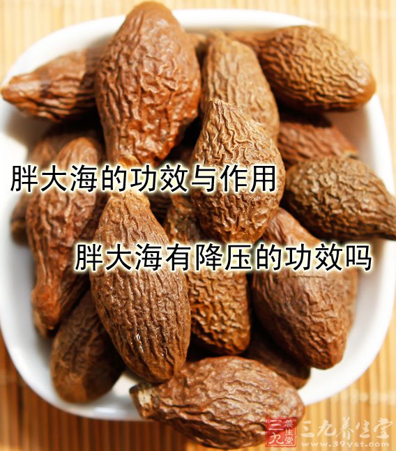 胖大海的功效与作用 胖大海能降压吗
