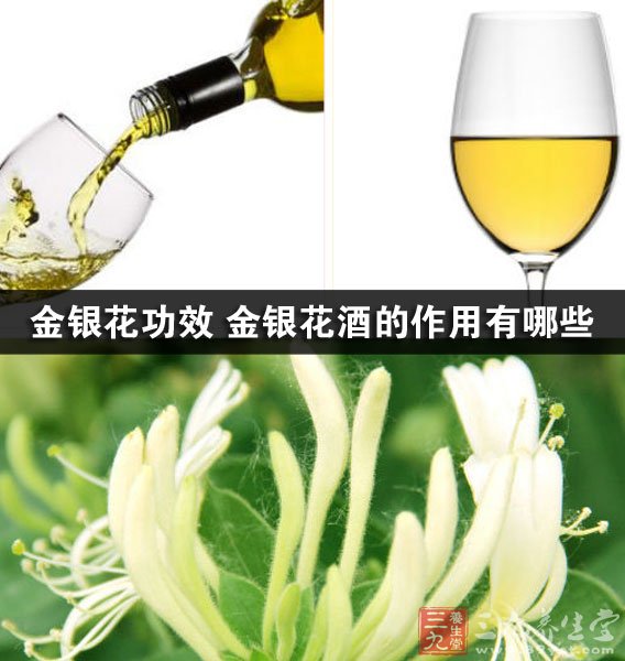 金银花功效 金银花酒的作用有哪些