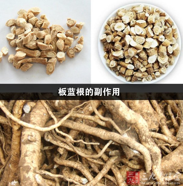 功效與作用 2,過敏反應絕大多數為板藍根注射液所引起的,表現為