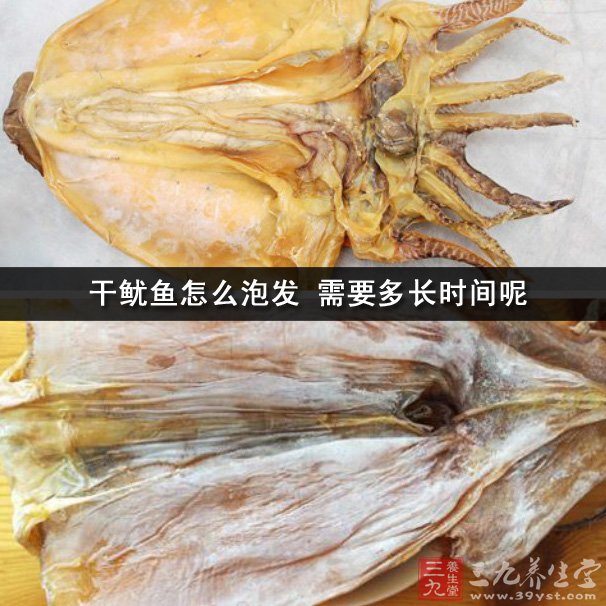 幹魷魚怎麼泡發 需要多長時間呢