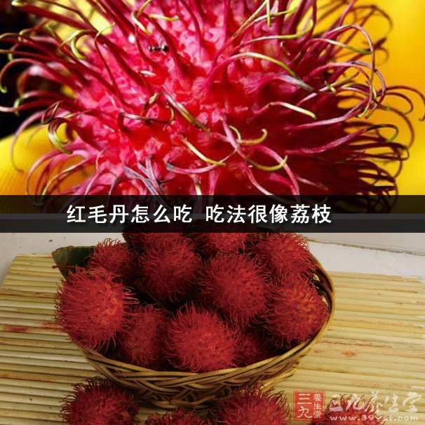 红毛丹怎么吃 吃法很像荔枝