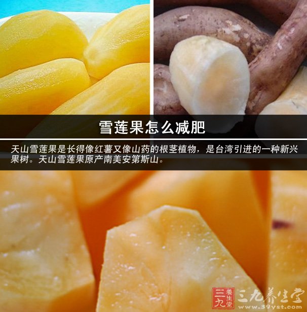雪莲果怎么减肥