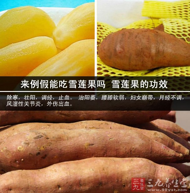 来例假能吃雪莲果吗 雪莲果的功效