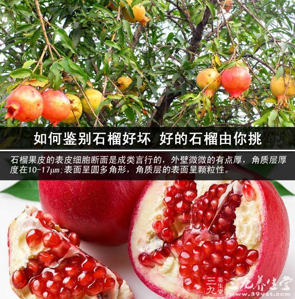 怎么选好吃的石榴 11011Q9E-0.jpg