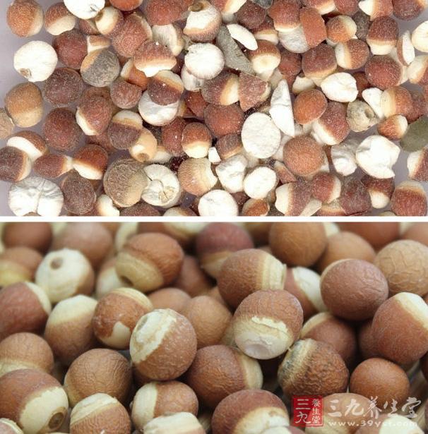 芡实的功效与作用 它能治疗小儿遗尿吗