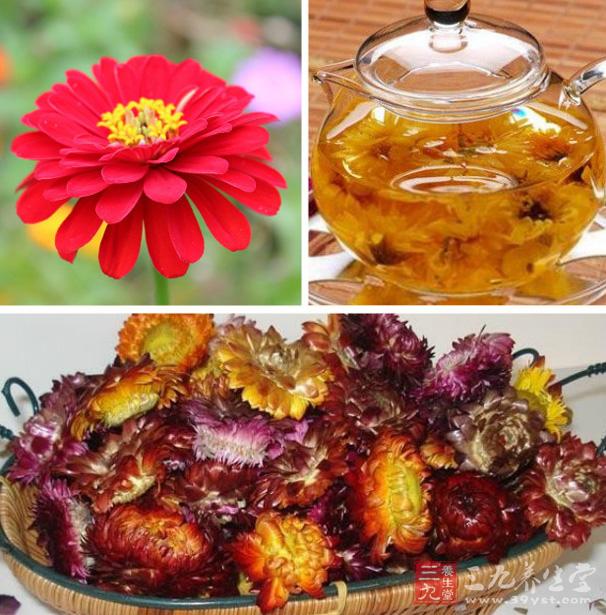 菊花茶的功效与饮用禁忌 哪7类人不可以喝菊花茶