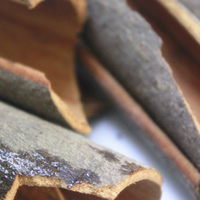 低血压怎么办 治疗低血压的中药方