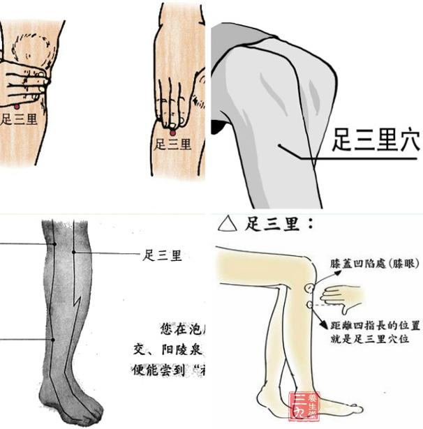 足三里穴是胃经的合穴,合穴即全身经脉流注会合的穴位,治脏腑疾患.jpg