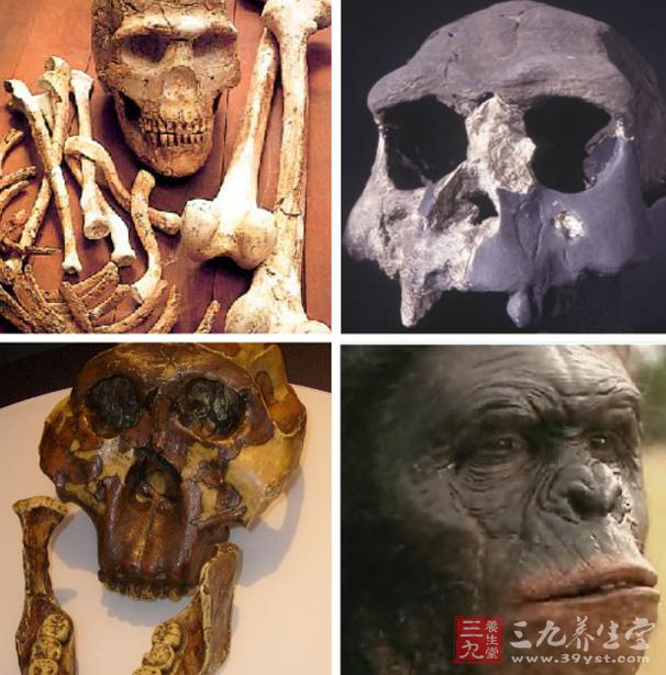 十大人类进化不完全标志 看你有几个(3)