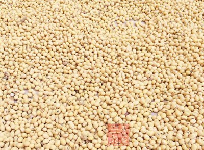 黄豆150克,水约1公斤